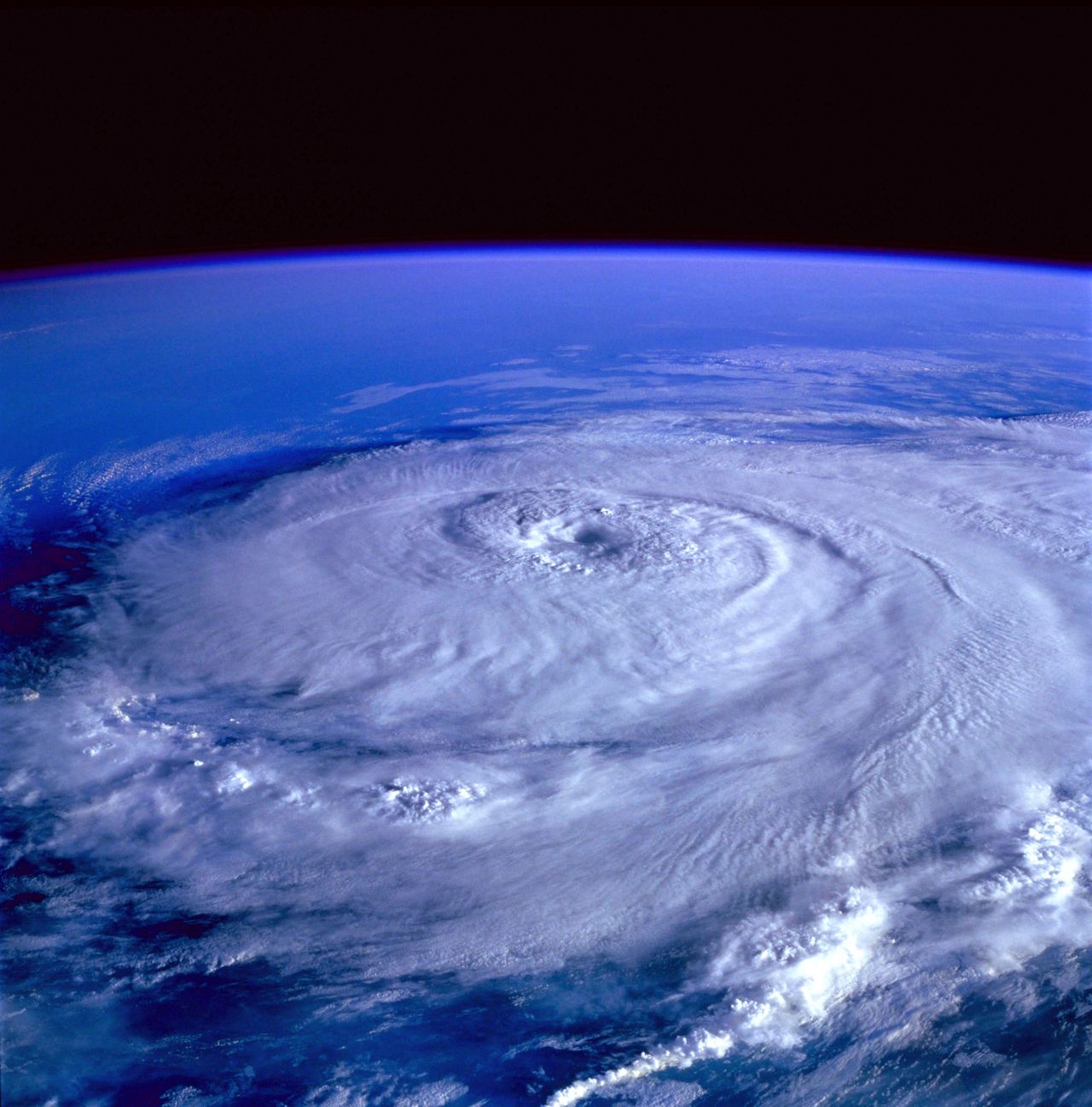 Executive Protection During Hurricane Season: How Security Teams Protect Principals and Families When a Storm Threatens
